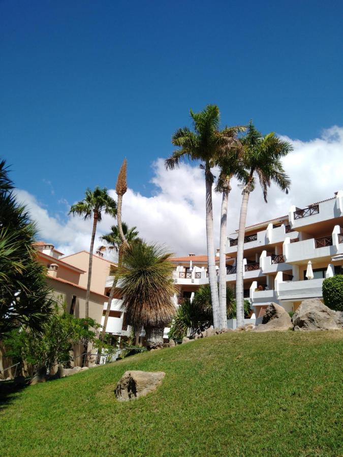 Forest Flat - Big Heated Pool, Terrace, Tv Channels, Golf Courses San Miguel de Abona Luaran gambar