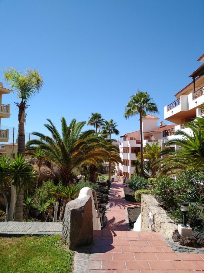 Forest Flat - Big Heated Pool, Terrace, Tv Channels, Golf Courses San Miguel de Abona Luaran gambar