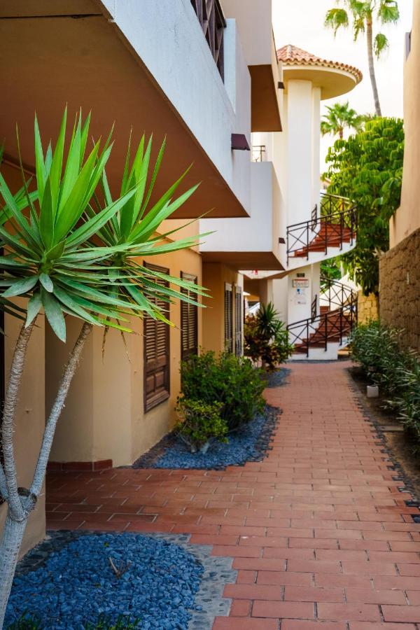 Forest Flat - Big Heated Pool, Terrace, Tv Channels, Golf Courses San Miguel de Abona Luaran gambar
