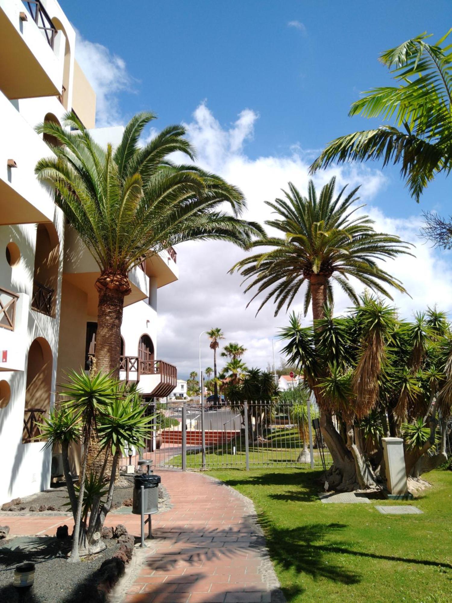 Forest Flat - Big Heated Pool, Terrace, Tv Channels, Golf Courses San Miguel de Abona Luaran gambar